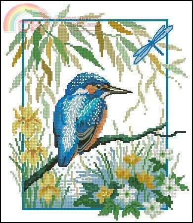 Lesley Teare - Flash of blue.jpg