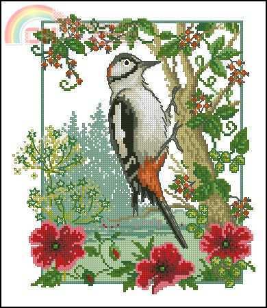 Lesley Teare - Winter woodpecker.jpg