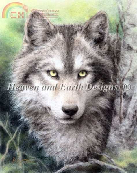 forest watch.jpg