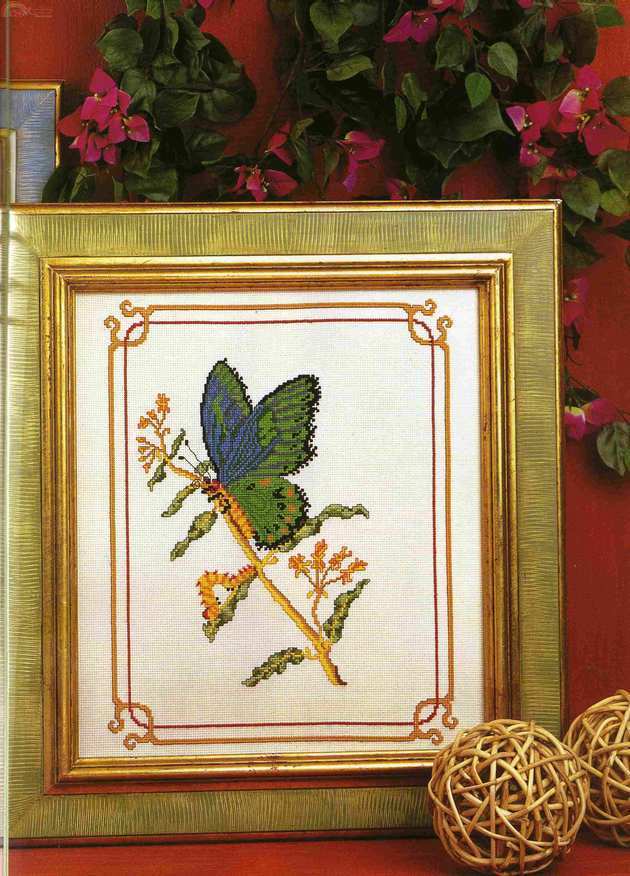 Mariposa Verde (0).jpg