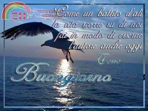 buongiorno132p.jpg