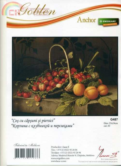G487-orig.jpg