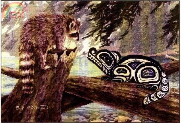 Coleman _ Racoon.jpg