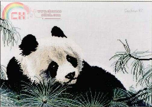 Panda picture - Copy.jpg