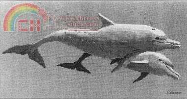 Couchman _ Marine Mates - Copy.jpg