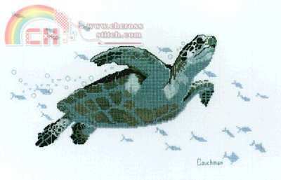 Couchman _ Green Sea Turtle.jpg