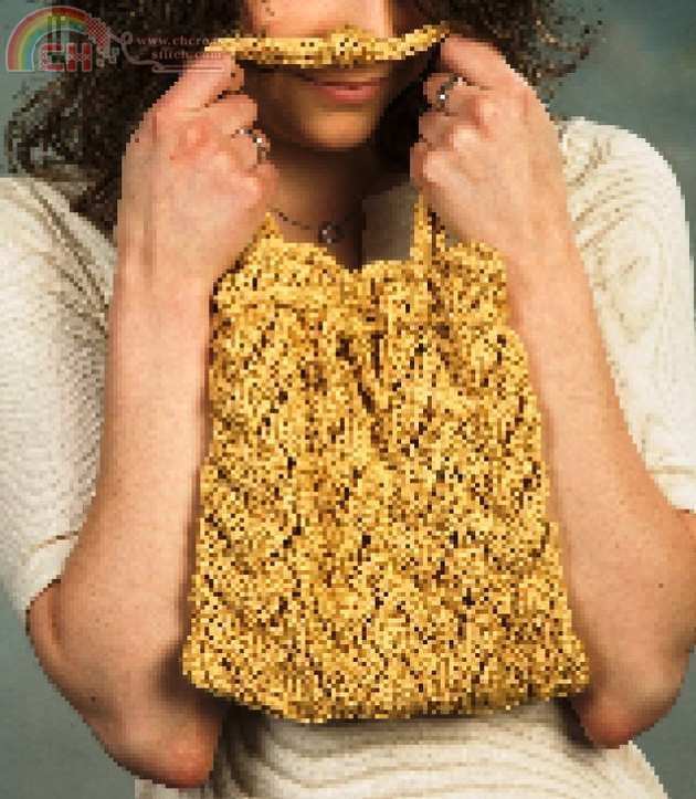 Covington Lace purse.jpg
