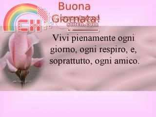 buona-giornata-L-ZnkMtU.jpg