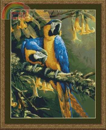 9944 Blue Gold Macaws.jpg