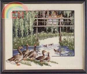 OOE 65160 Ducks at Pond