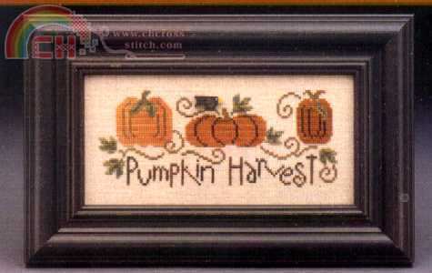 Pumpkin Harvest pic.jpg