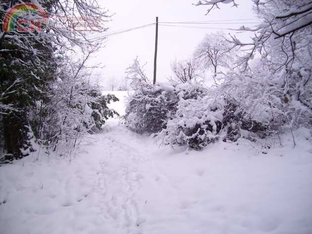 100_1229.jpg