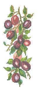 34309 Plums.jpg