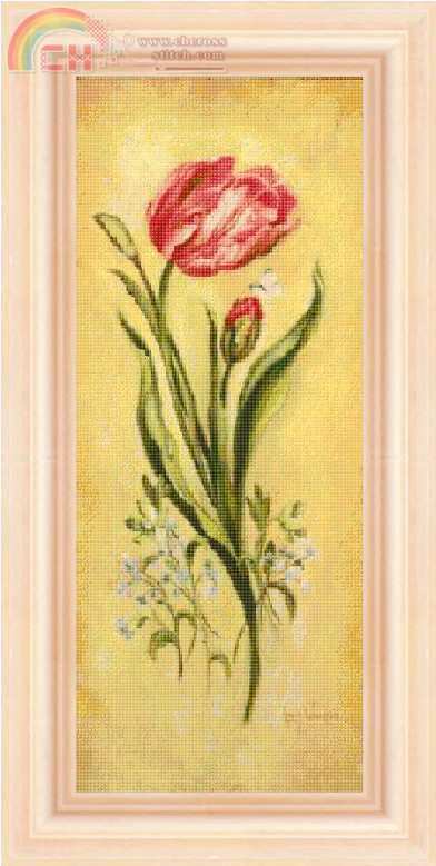 FIORI _ 043.jpg