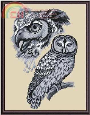 Megat - 4175 Birds - Eagle Owl