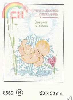 Lanarte 8.556 MVS - Child of Winter (Jeroen).jpg