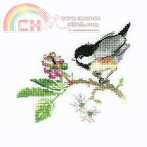 Chick Berry VPCB568.jpg