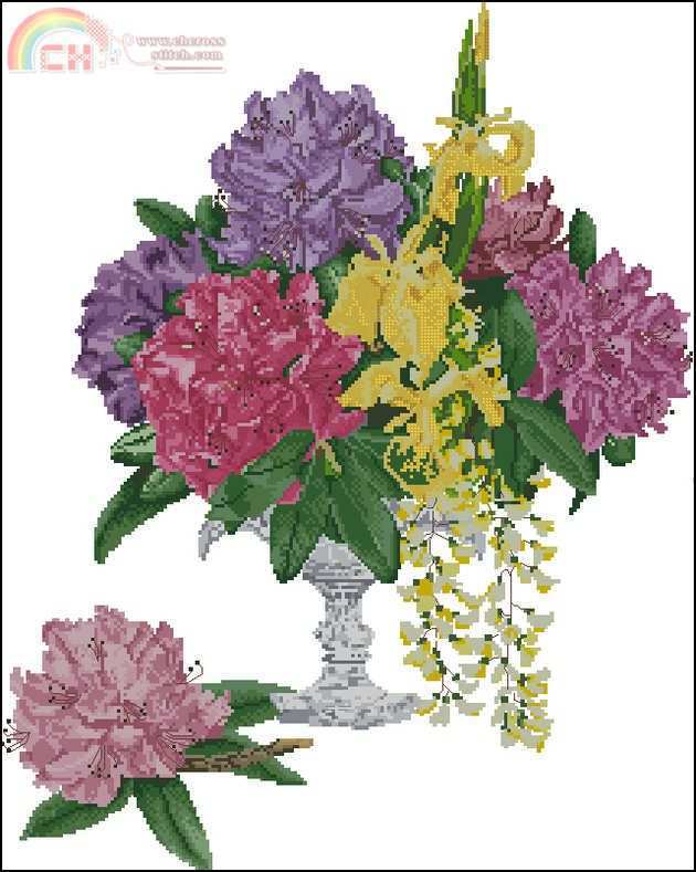 TG1074 OK Rhododendrons