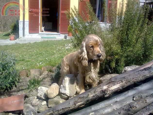 23032009033.jpg