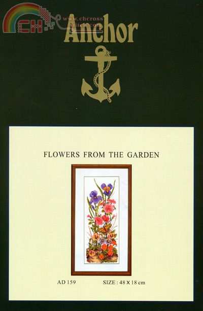 Anc AD 159 flowers from  the garden.JPG