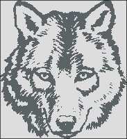 Wolf_Head.jpg