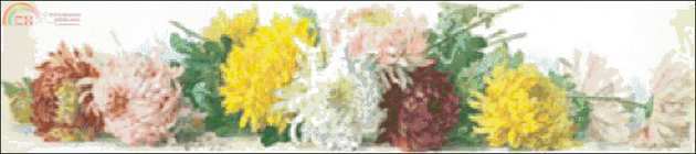 FIORI 98.jpg