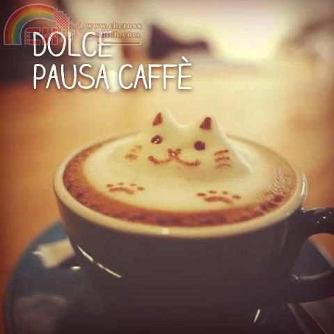 caffègatto.jpg