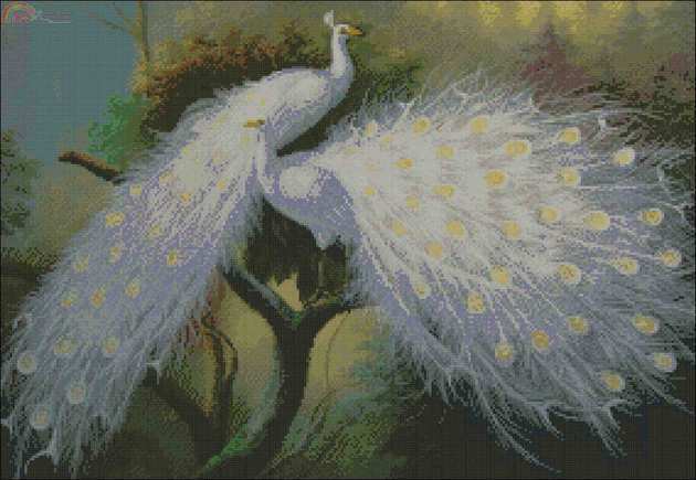 Kustom 95077 White Peacock.jpg