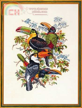 12-212 Toucans.jpg