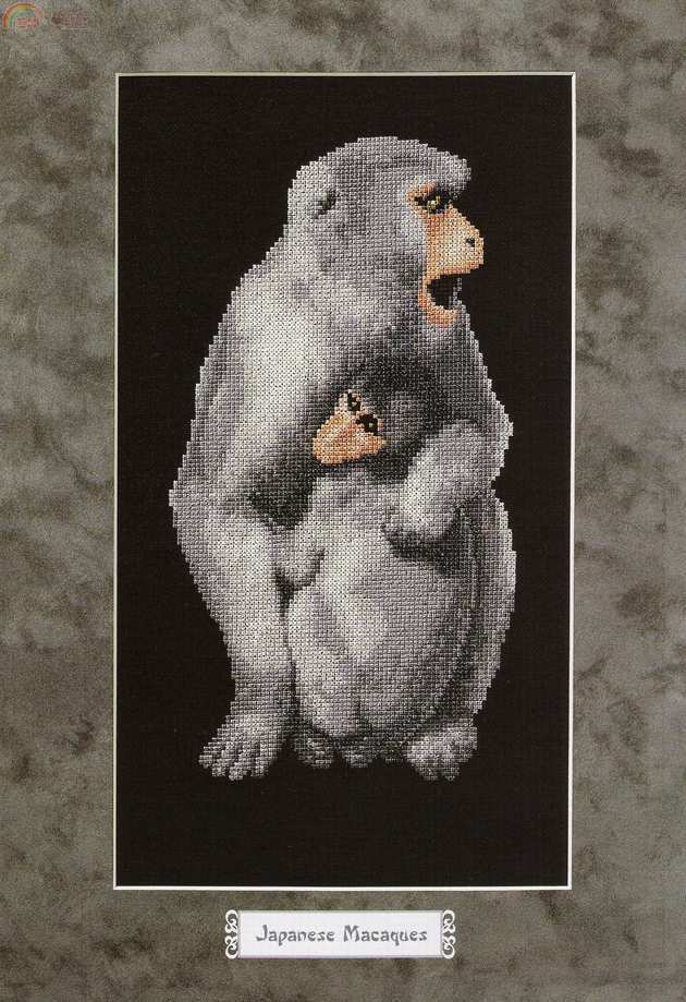 scan0032.jpg