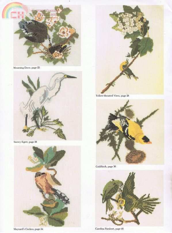Audubon Birds