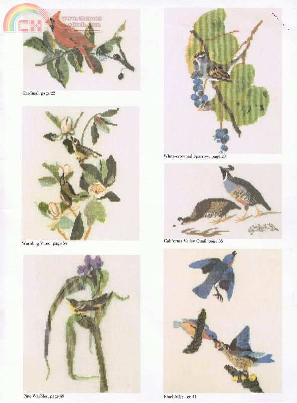 Audubon Birds