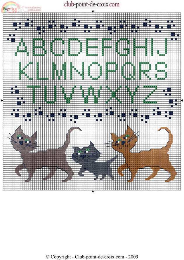 The Cat Family
