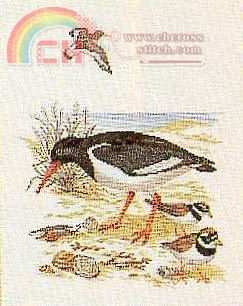 12-732.jpg