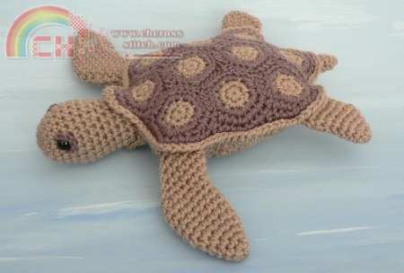 aquaami seaturtle.jpg