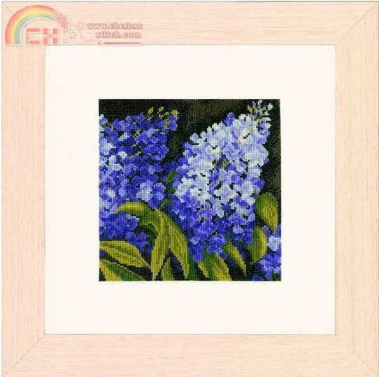 PN-0144516 - Lilac.jpg