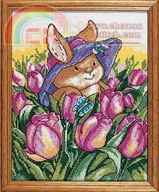 ccK4040 Tulipfield pic.jpg