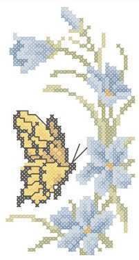 Swallowtail Butterfly