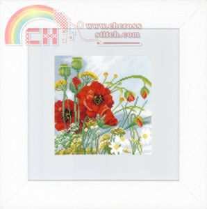 PN-0146360 Poppies.jpg