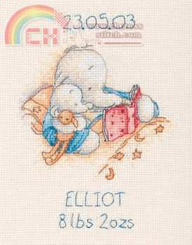 anc-hc08-Mini Birth Record - Boy.jpg
