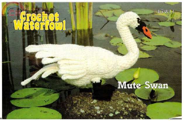 Mute swan.jpg