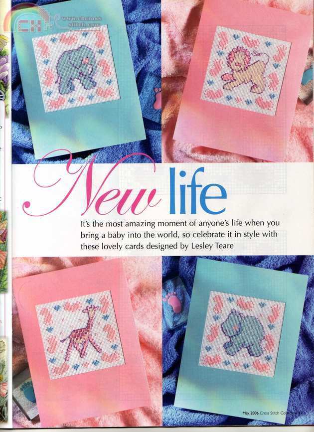 New life.jpg