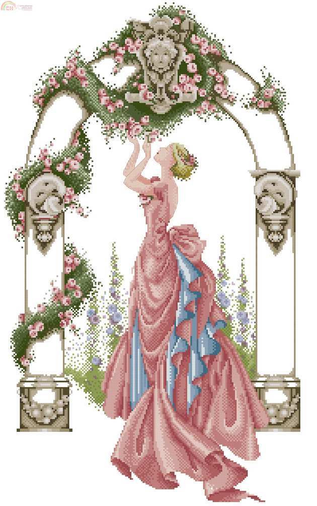 Roses Of Sharon, rosa-.jpg