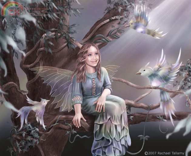 Among The Vines.jpg