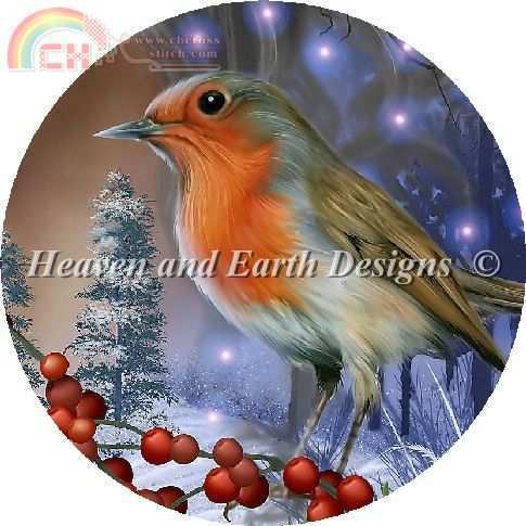 QS Spirit of Winter Robin.jpg