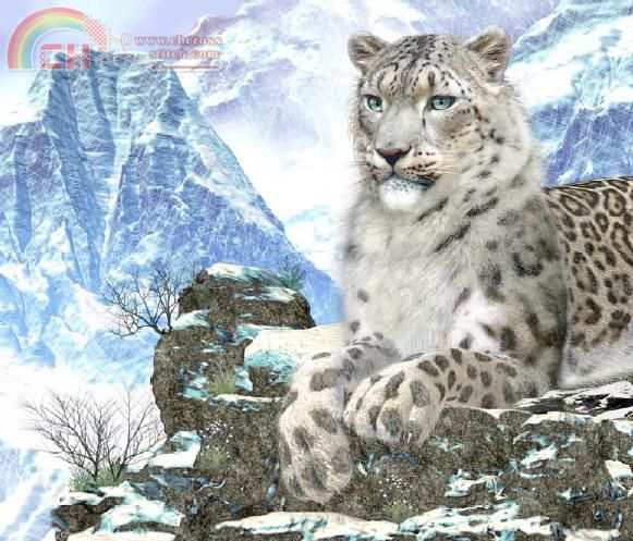 lord of the Himalayas-.JPG