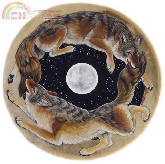 warped coyote dance.JPG