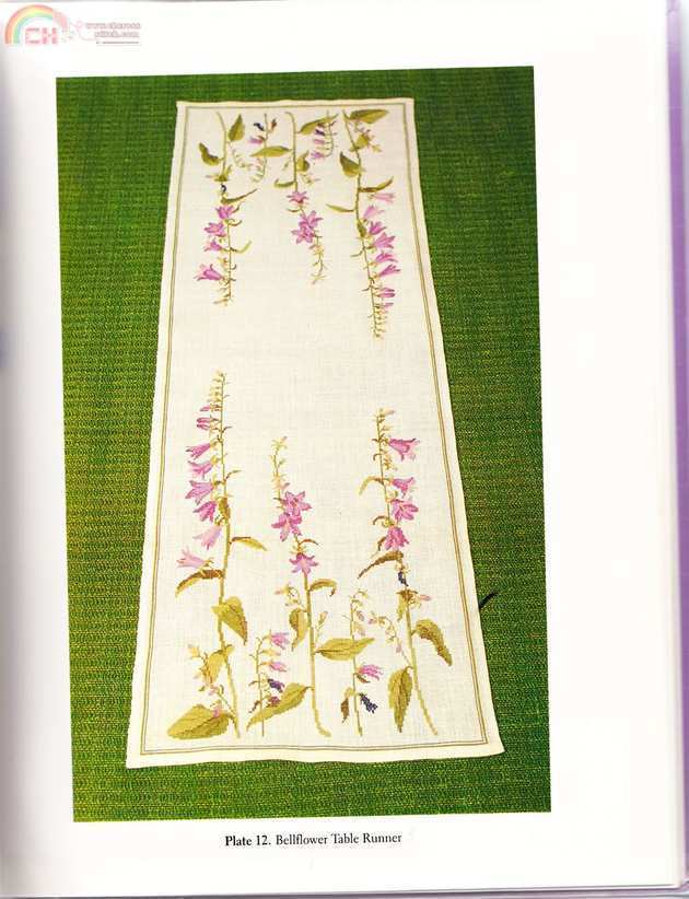Plate 12.jpg