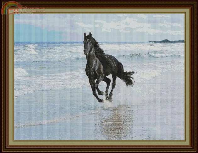 NEW 867 Black Horse.jpg