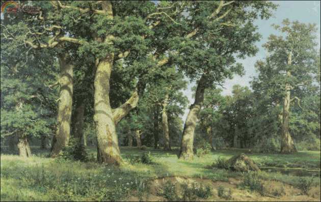 1303 Oak Wood (small).jpg